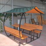 Japon Çatılı Kamelya